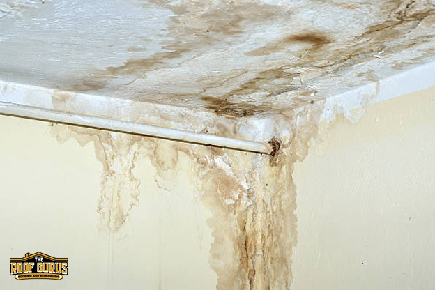 Ceiling water stains showing roof damage inside a home